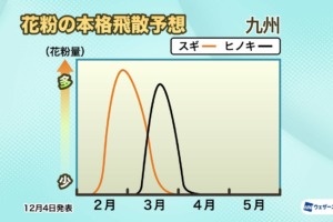 2025年　花粉飛散予想