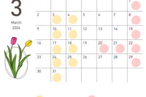 3月の診療スケジュールです